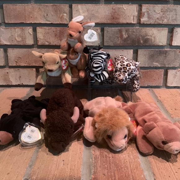Ty Other - BUNDLE OF 8 TY BEANIE BABIES WITH TAG PROTECTORS - THE WILD